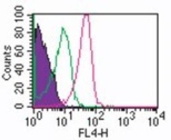 ROR gamma/RORC/NR1F3 Antibody (4G419), Allophycocyanin, Novus Biologicals